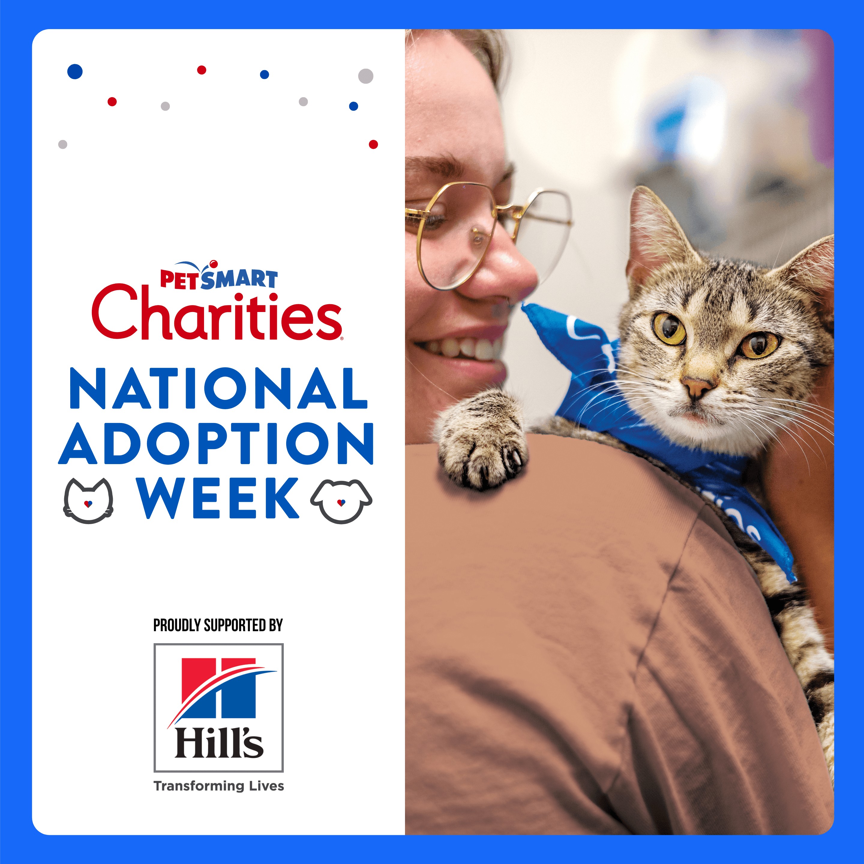 Adopt Love During National Adoption Week