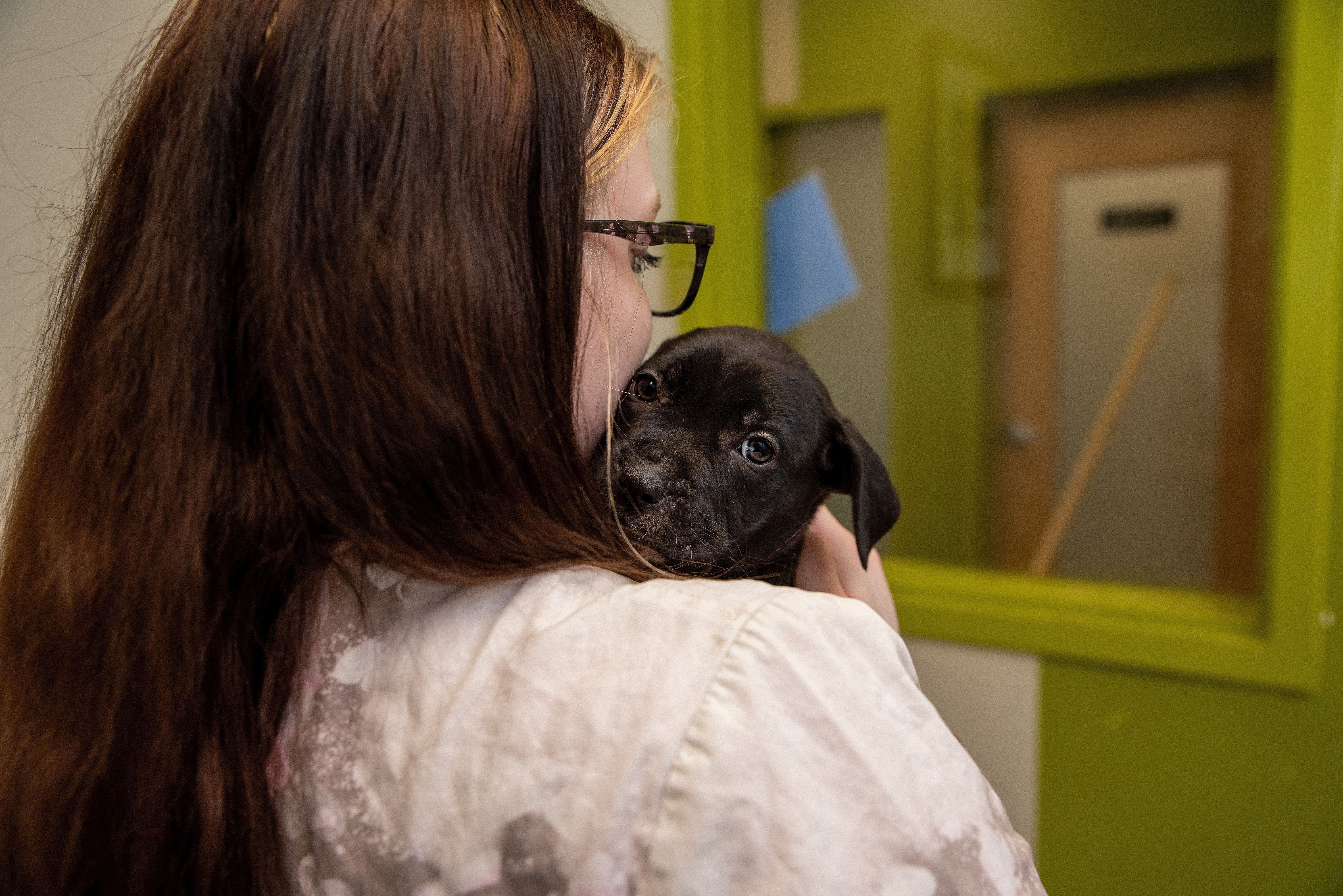 We rely on our hundreds of volunteers and fosters every year - but we always need more help!