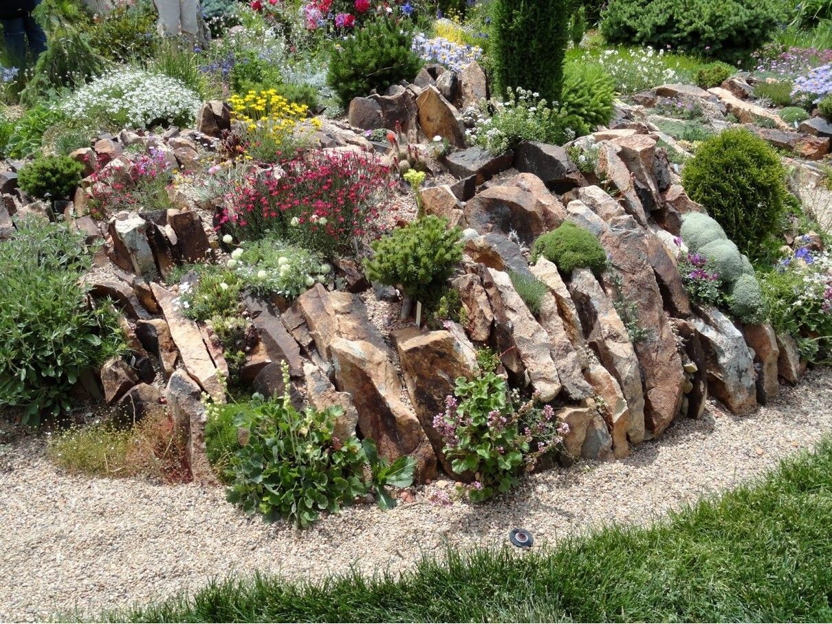 crevice garden with plants poking out between tall jagged rocks