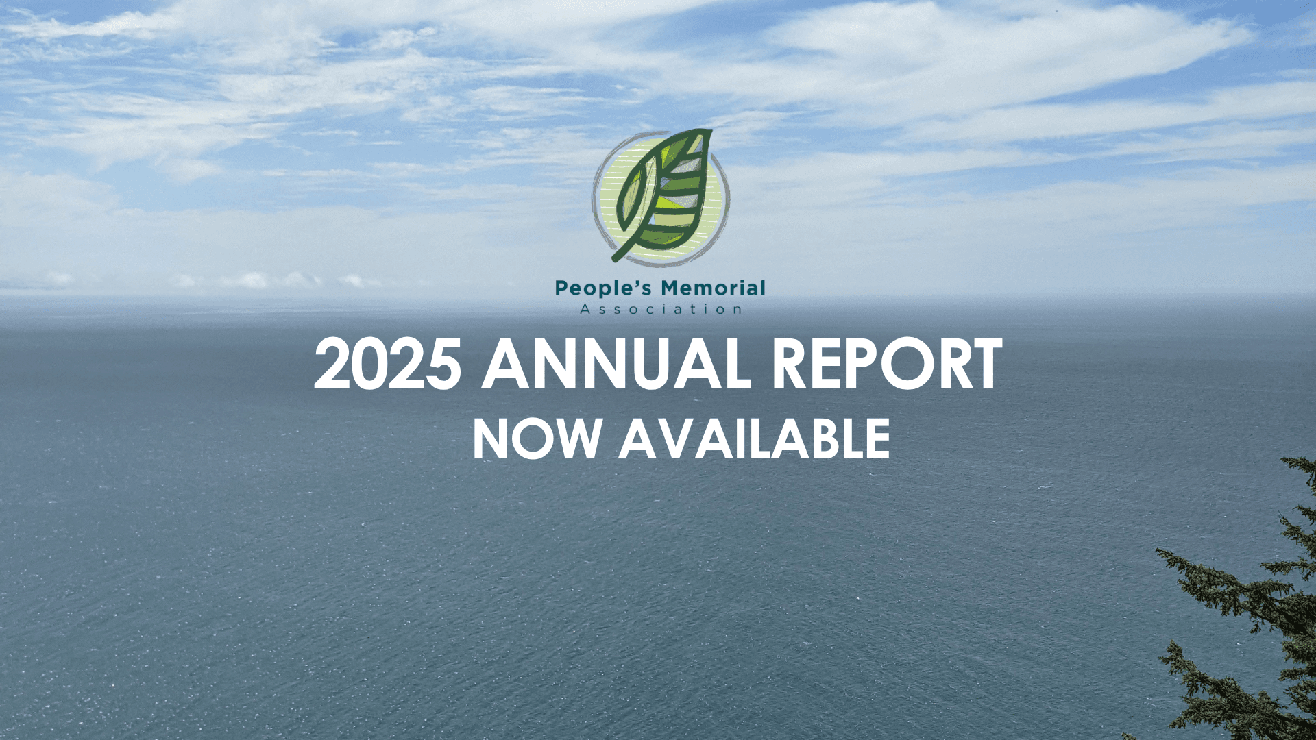 Read PMA's 2025 Annual Report