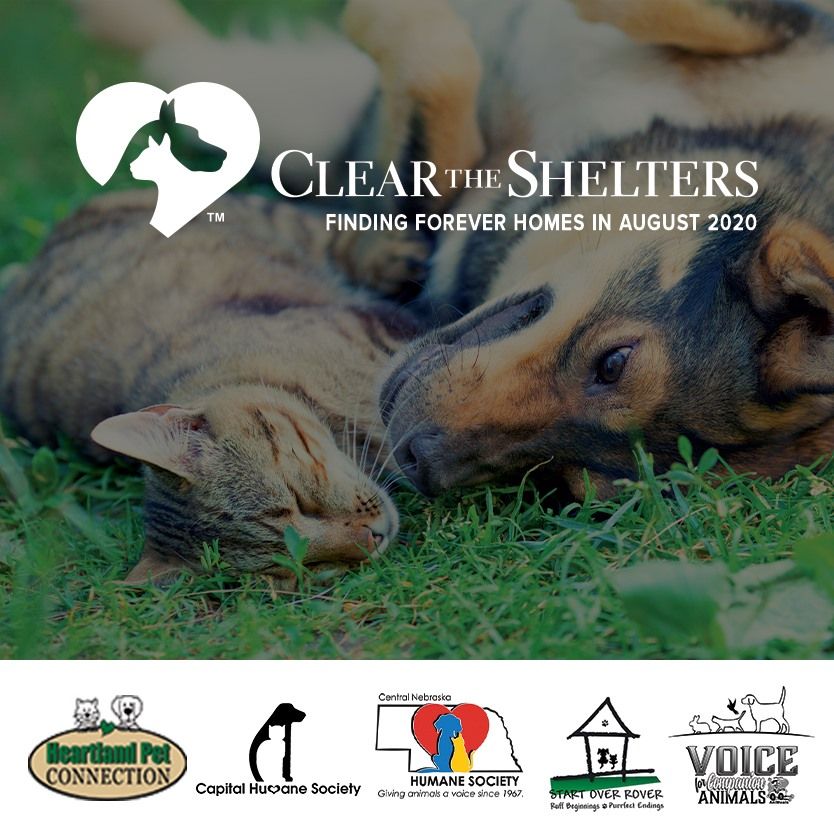 Clear the Shelters