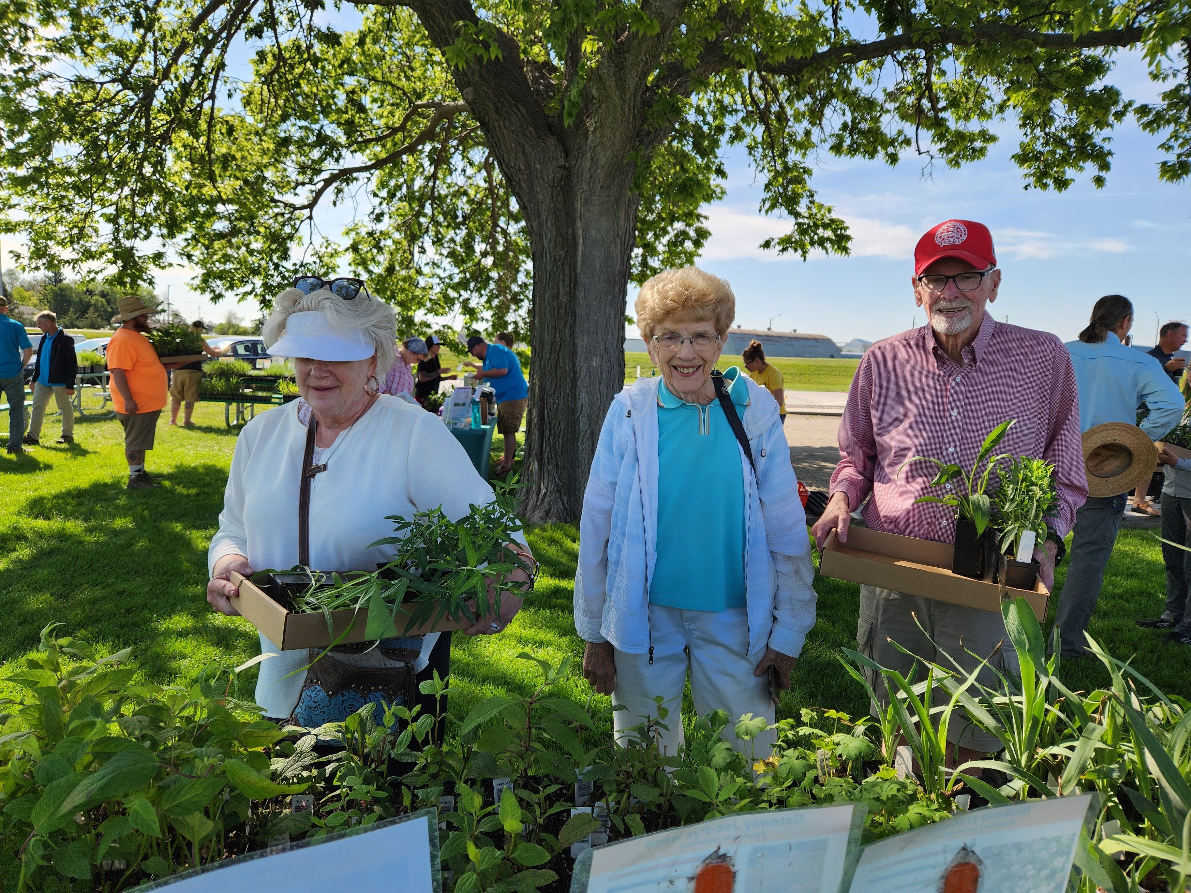 Ladies shopping at an outdoor plant sale. 