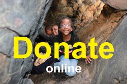 Make an Online Donation