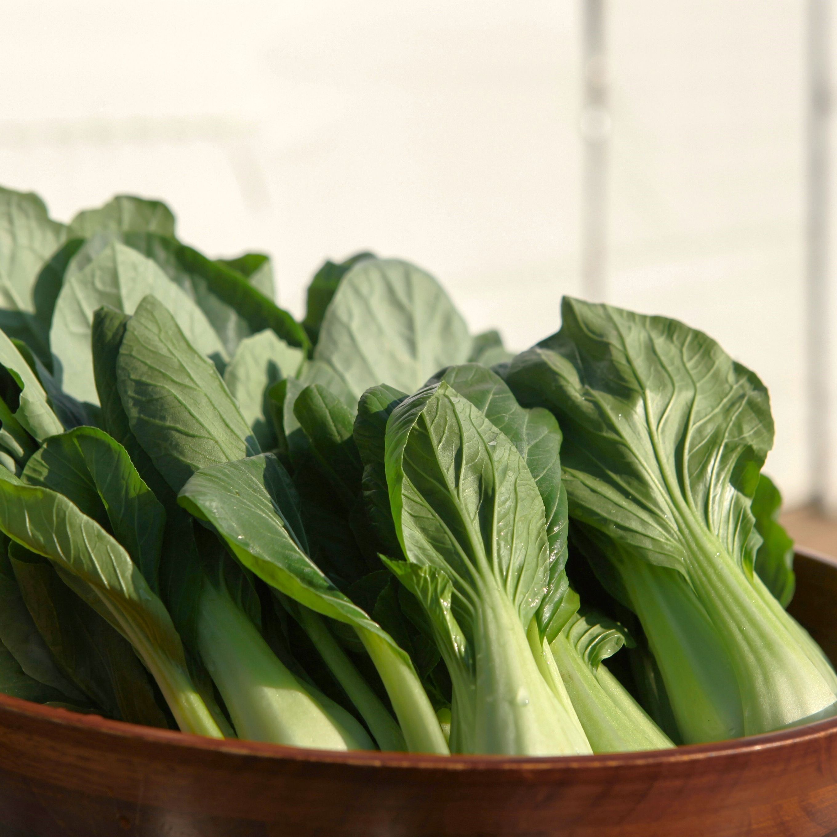 Bok Choy