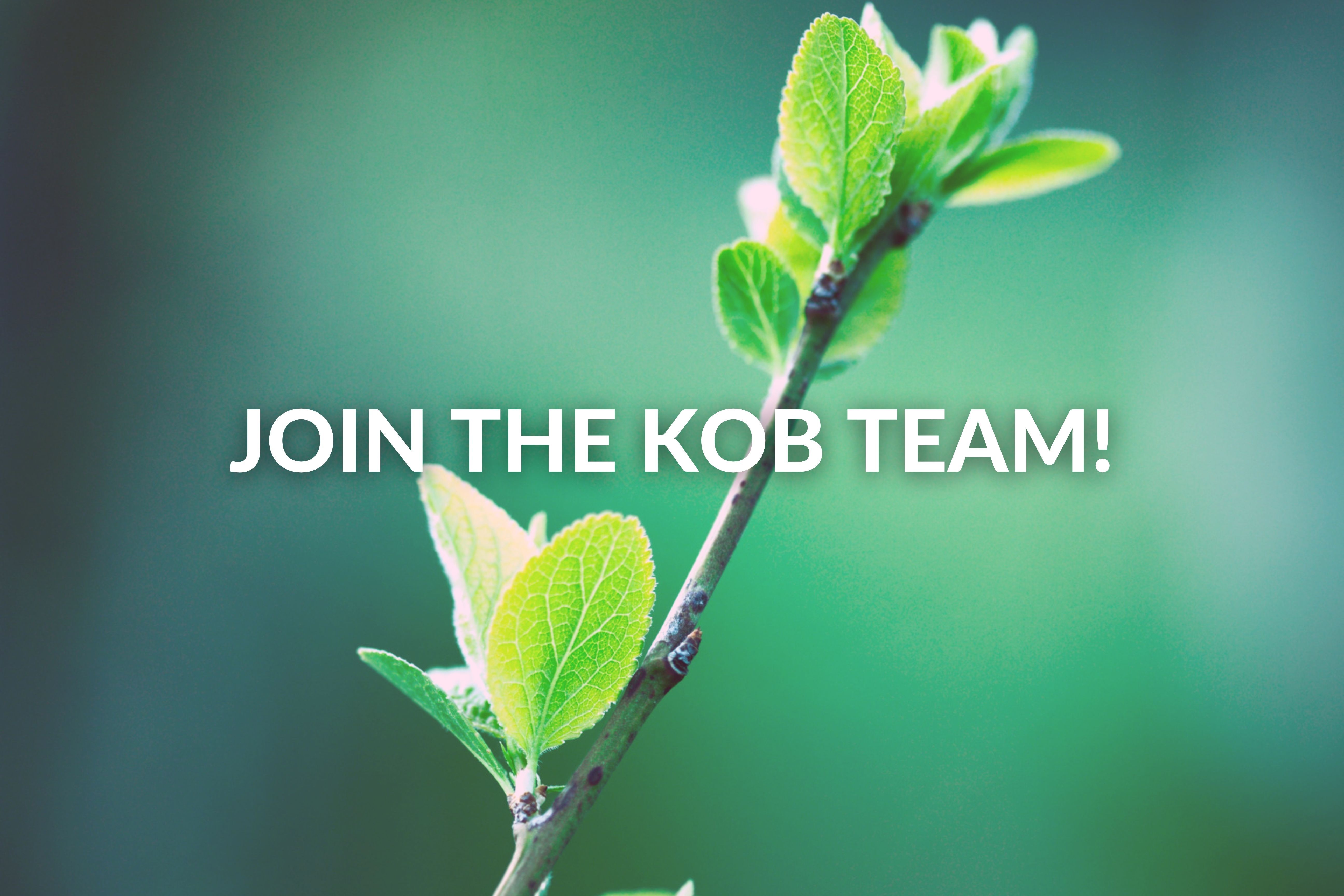 Careers at KOB