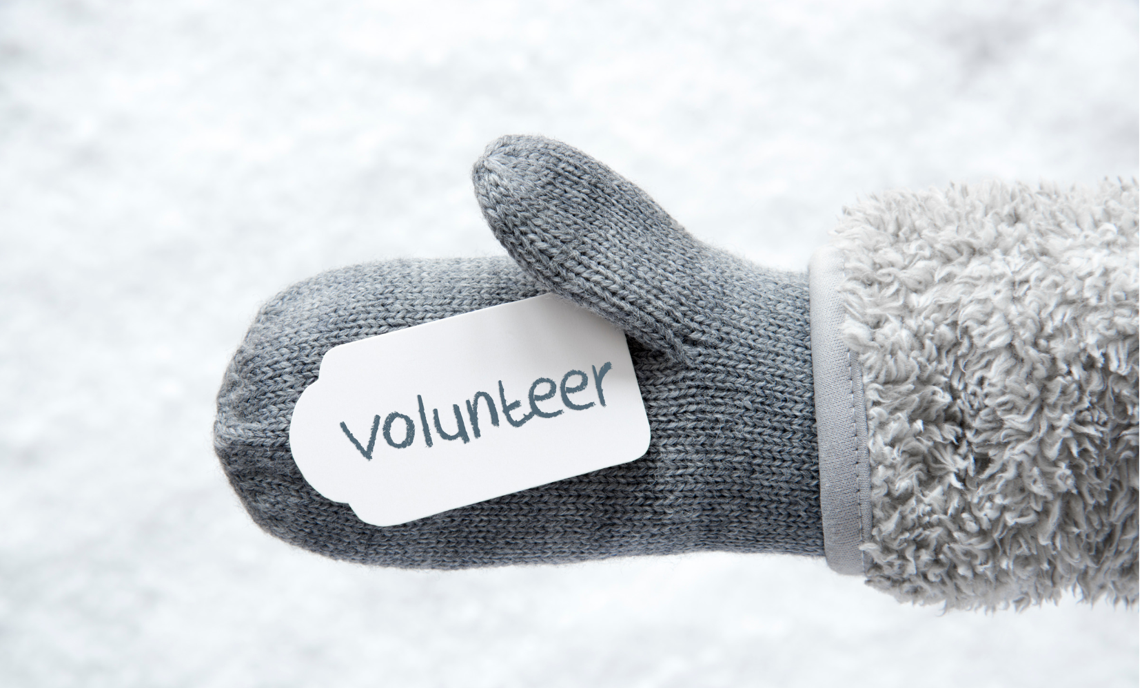 Holiday Volunteering