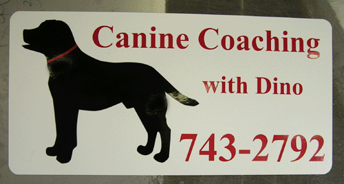 Canine Coaching