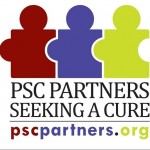RESEARCH UPDATE: ANNOUNCING THE 2017 PSC PARTNERS 2017 GRANT AWARDEES