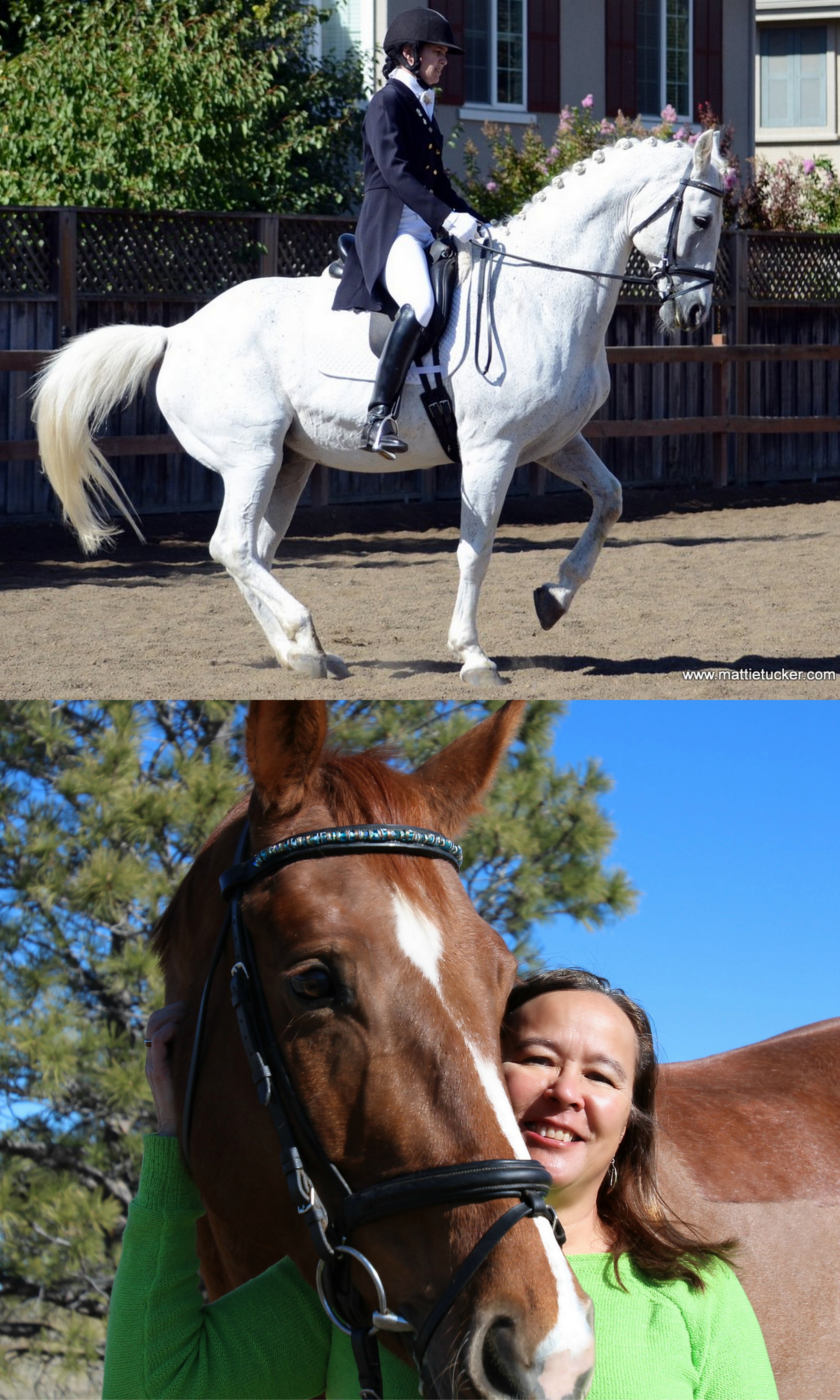 TDF’s Shannon Foundation Fund Awards Two Grants to Dressage Judges