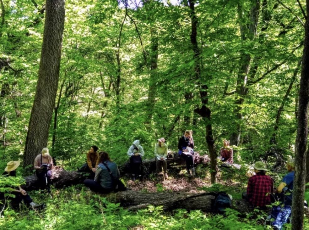 A group of people sitting on logs in a forest on a sunny day