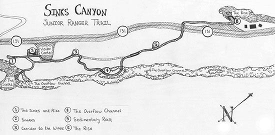 Junior Ranger Trail