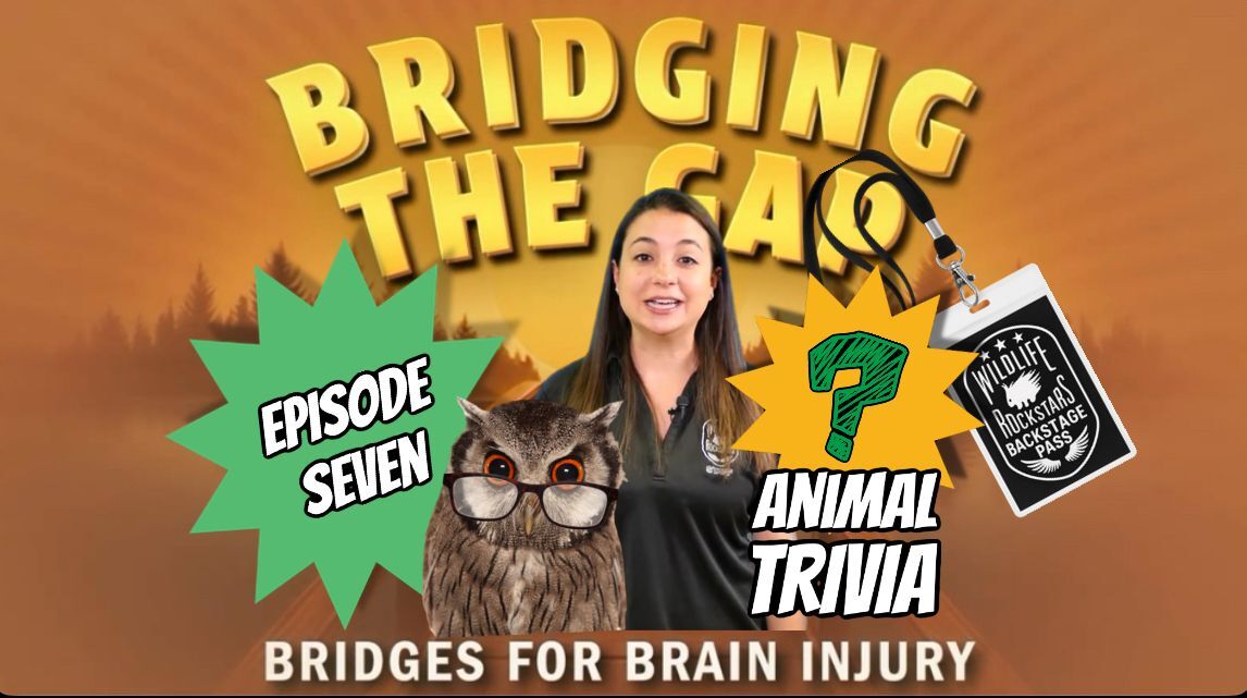 Wildlife Rockstars Animal Ambassador Trivia Challenge! (Episode 7 of Bridging the Gap)