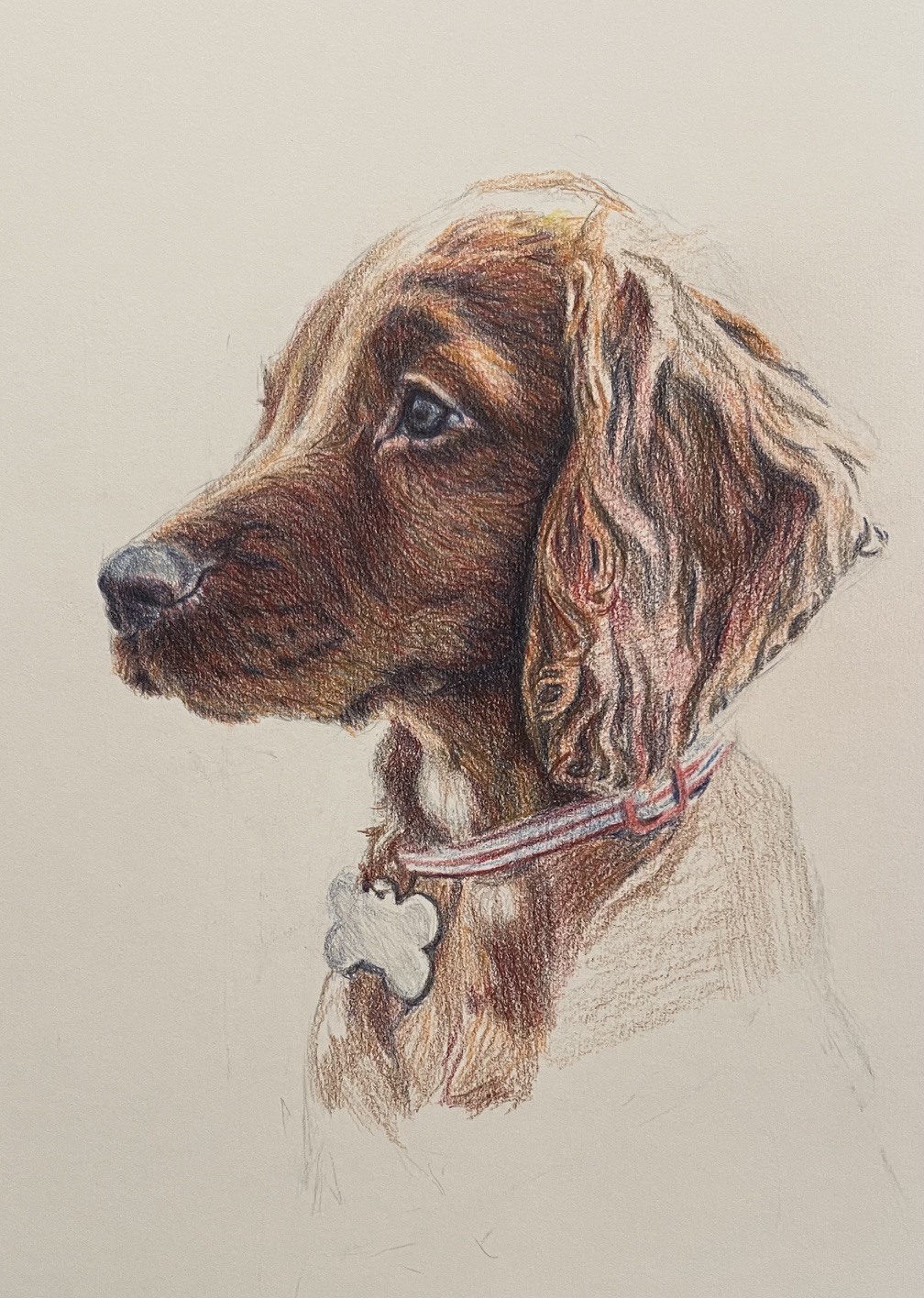 Colored Pencil Intensive with Margaret Fanning (Workshop)