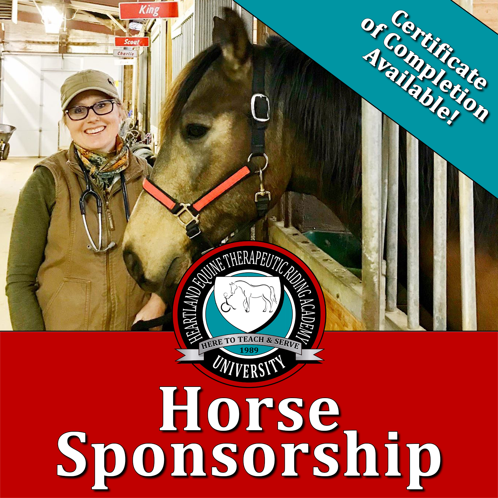 Horse Sponsorship