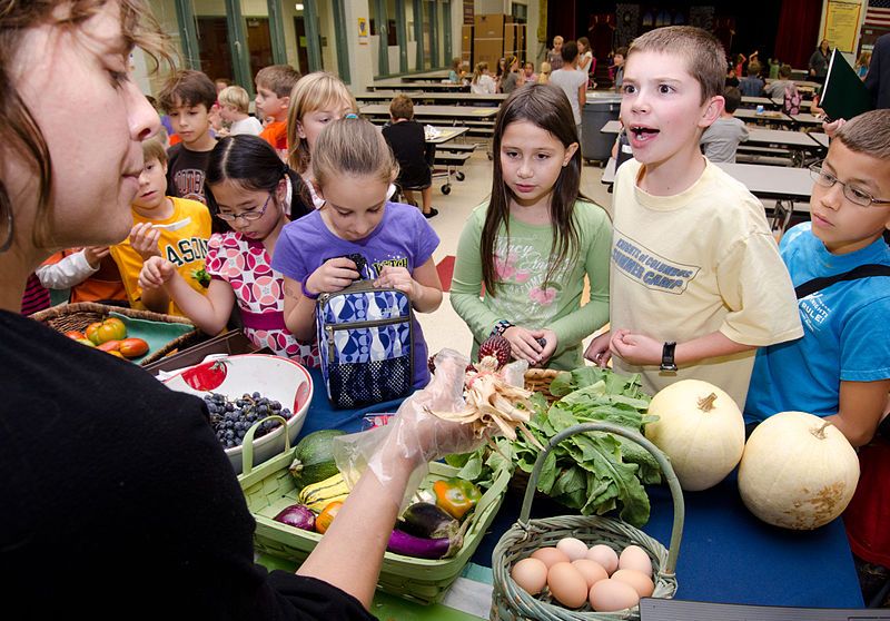 Top 5 Things to Help Reduce Your Kids Lunch Box Trash