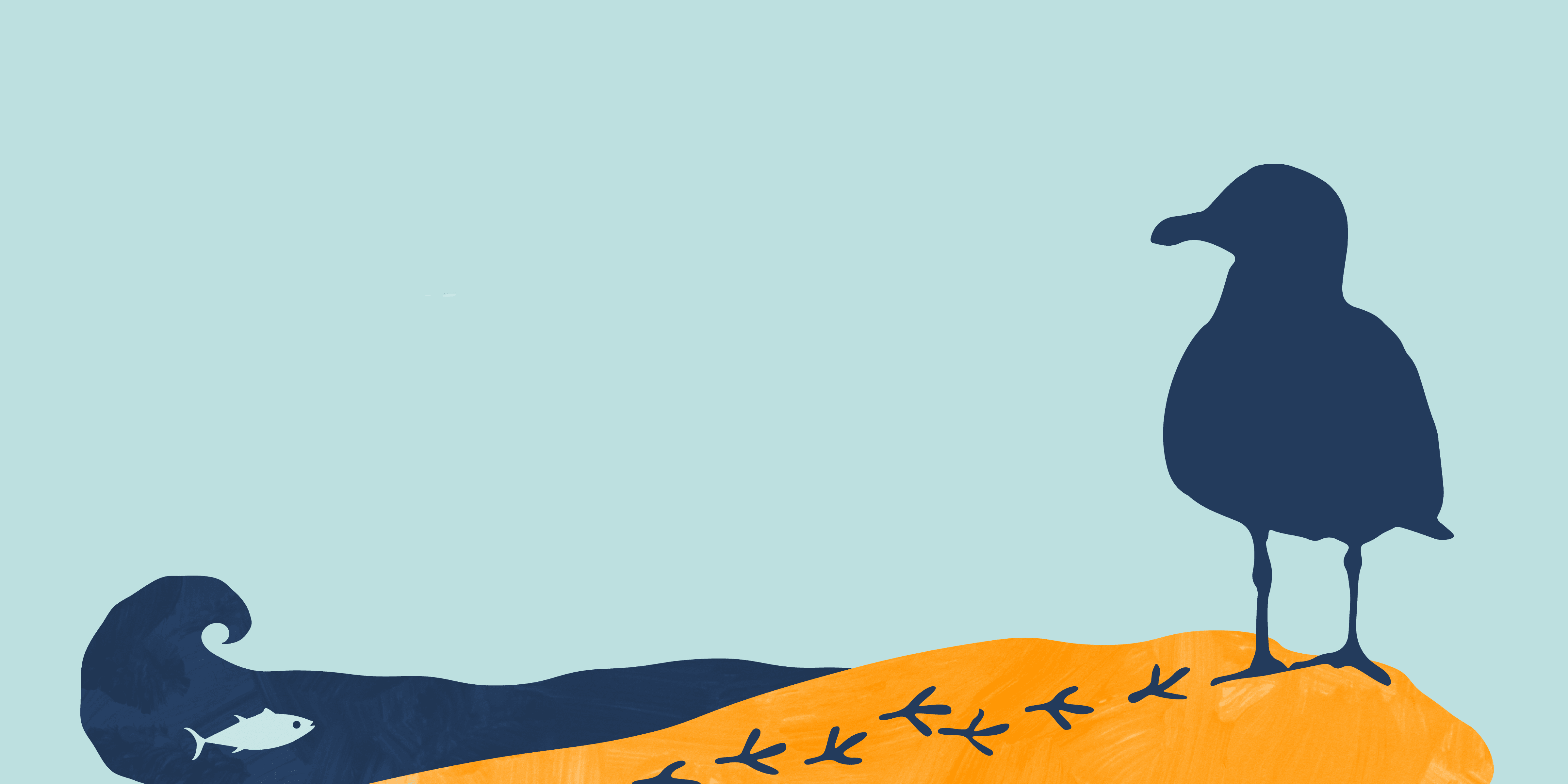 2026 San Diego Bird Festival