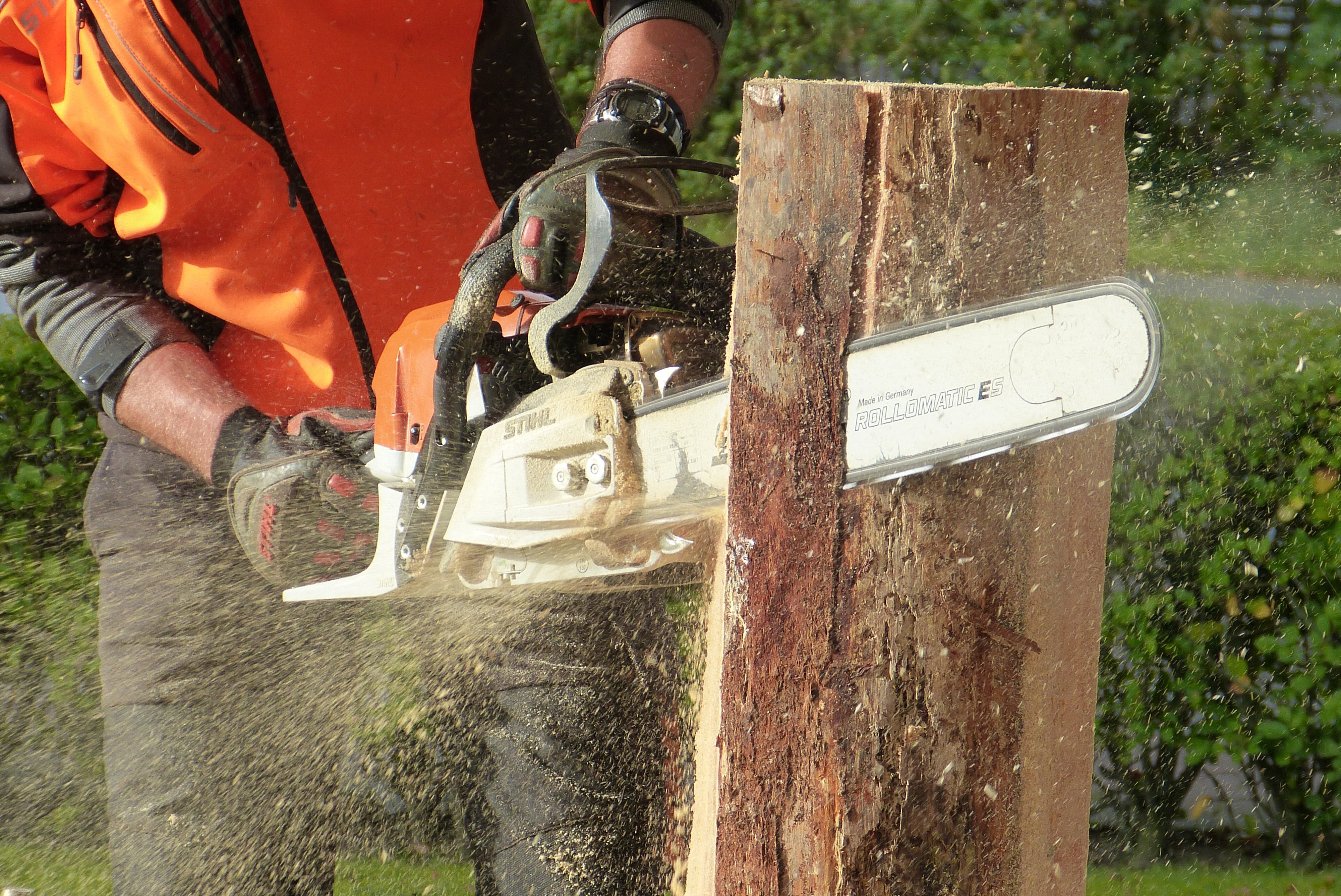 Chainsaw Masterclass