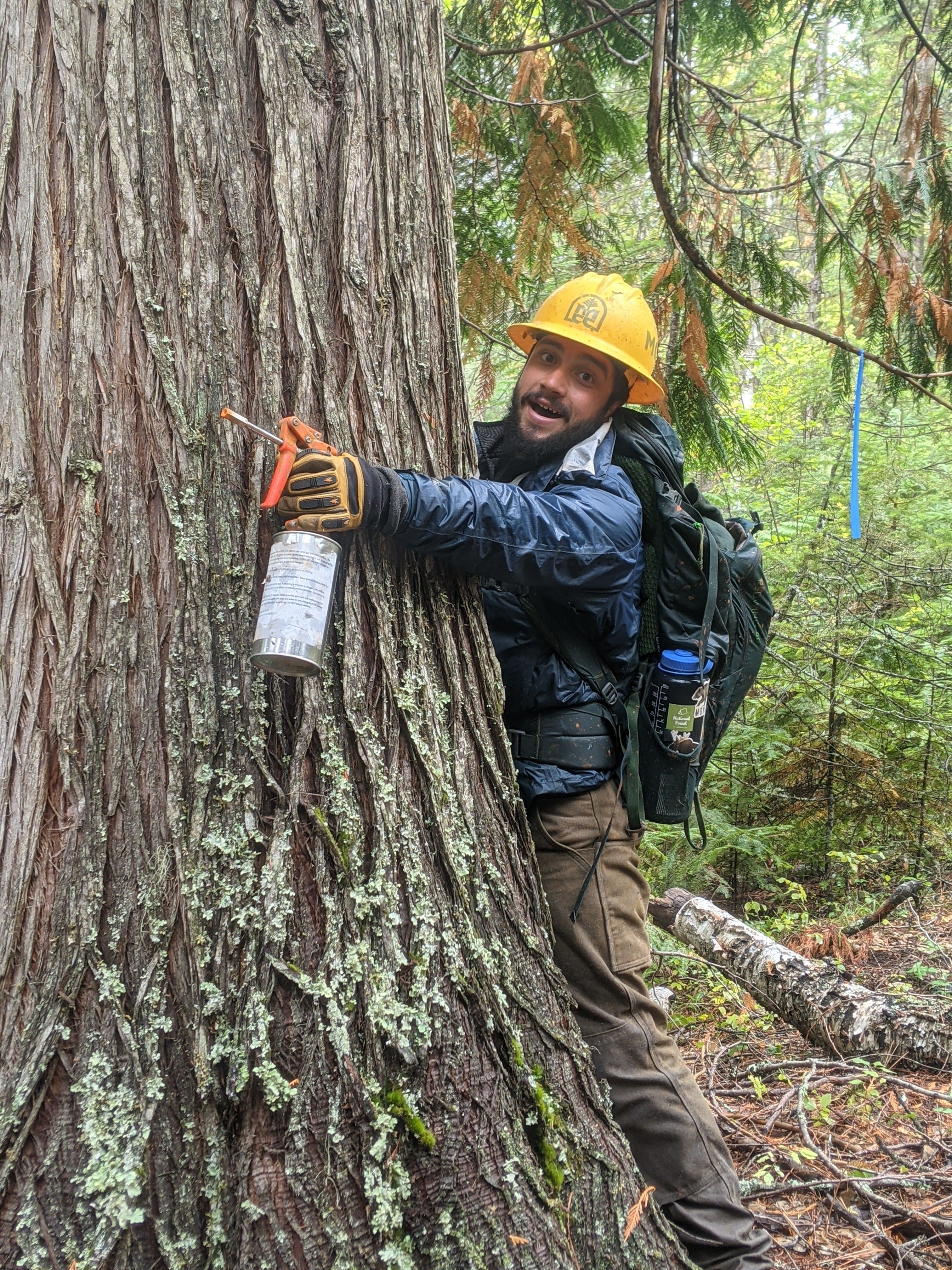 Robert holds a tool and with his arms wrapped around a large tree