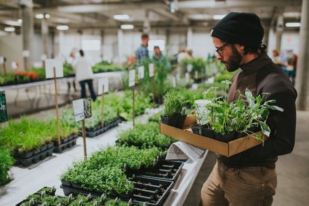 Man with a beard selects plants from a long table. 