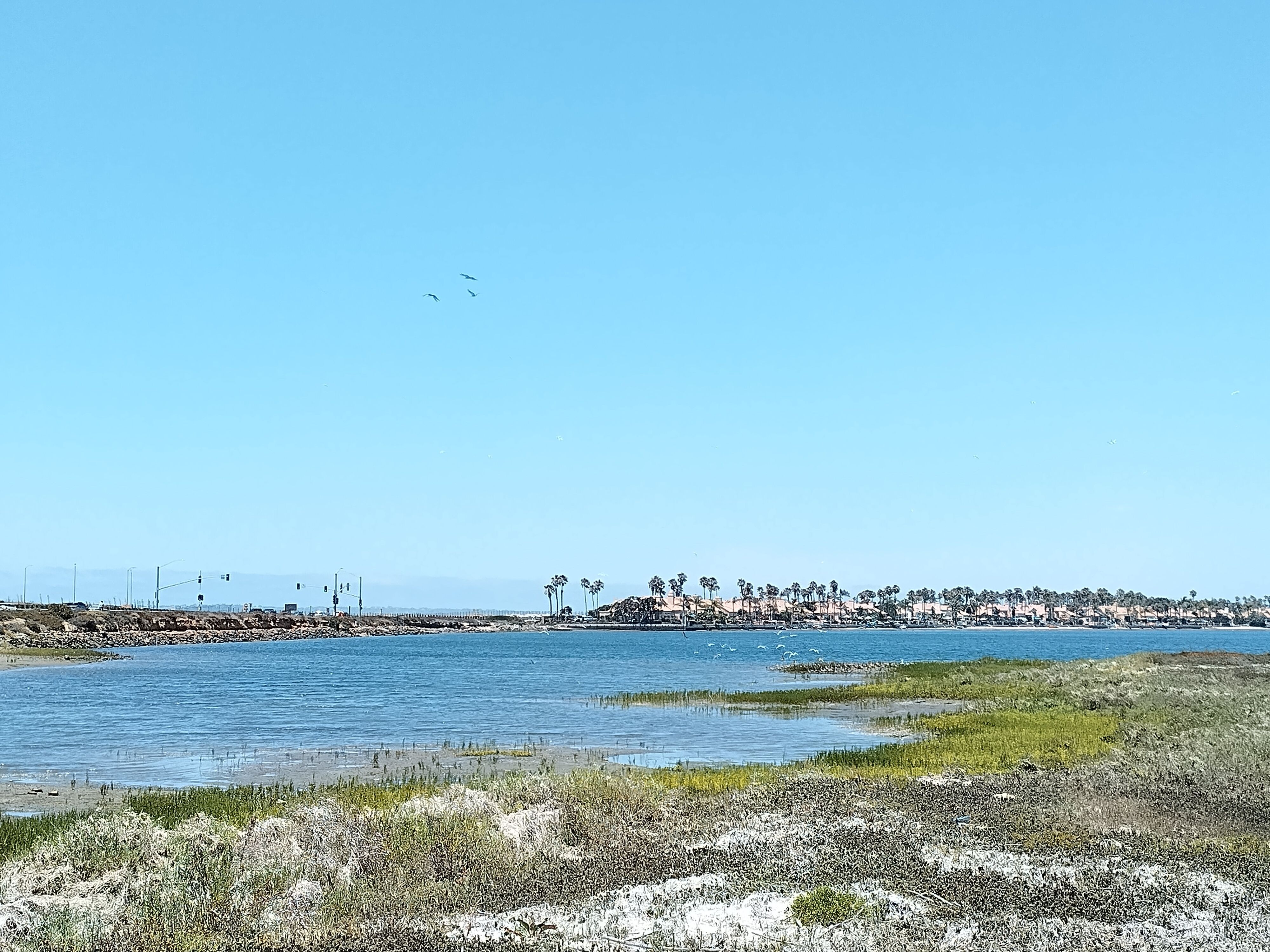 View of the San Diego Bay from Emory Cove