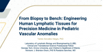From Biopsy to Bench: Engineering Human Lymphatic Tissues for Precision Medicine in Pediatric Vascular Anomalies