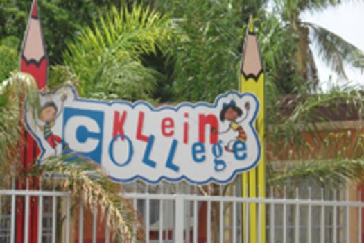 Klein College