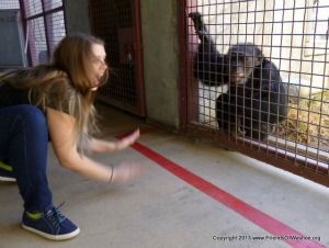 Kaeley Sullins and Loulis