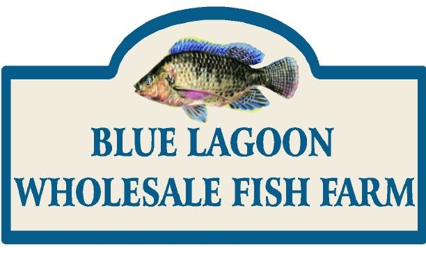 Q25136 - Design of Carved Wood or HDU Sign for Wholesale Fish Farm with Carved Painted Fish