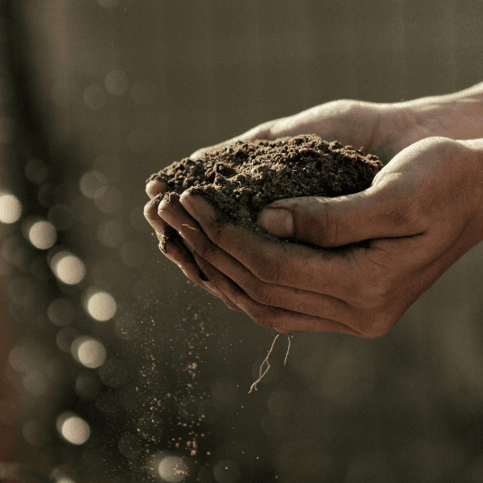 Advocating for Regenerative Agriculture Practices