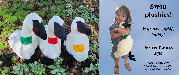 Plushie -15" Trumpeter Swan! Canada shipping included