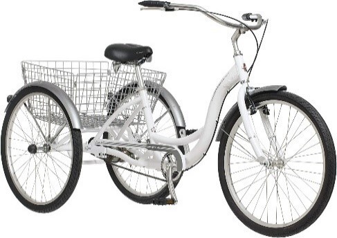 Silver Adaptive Tricycle