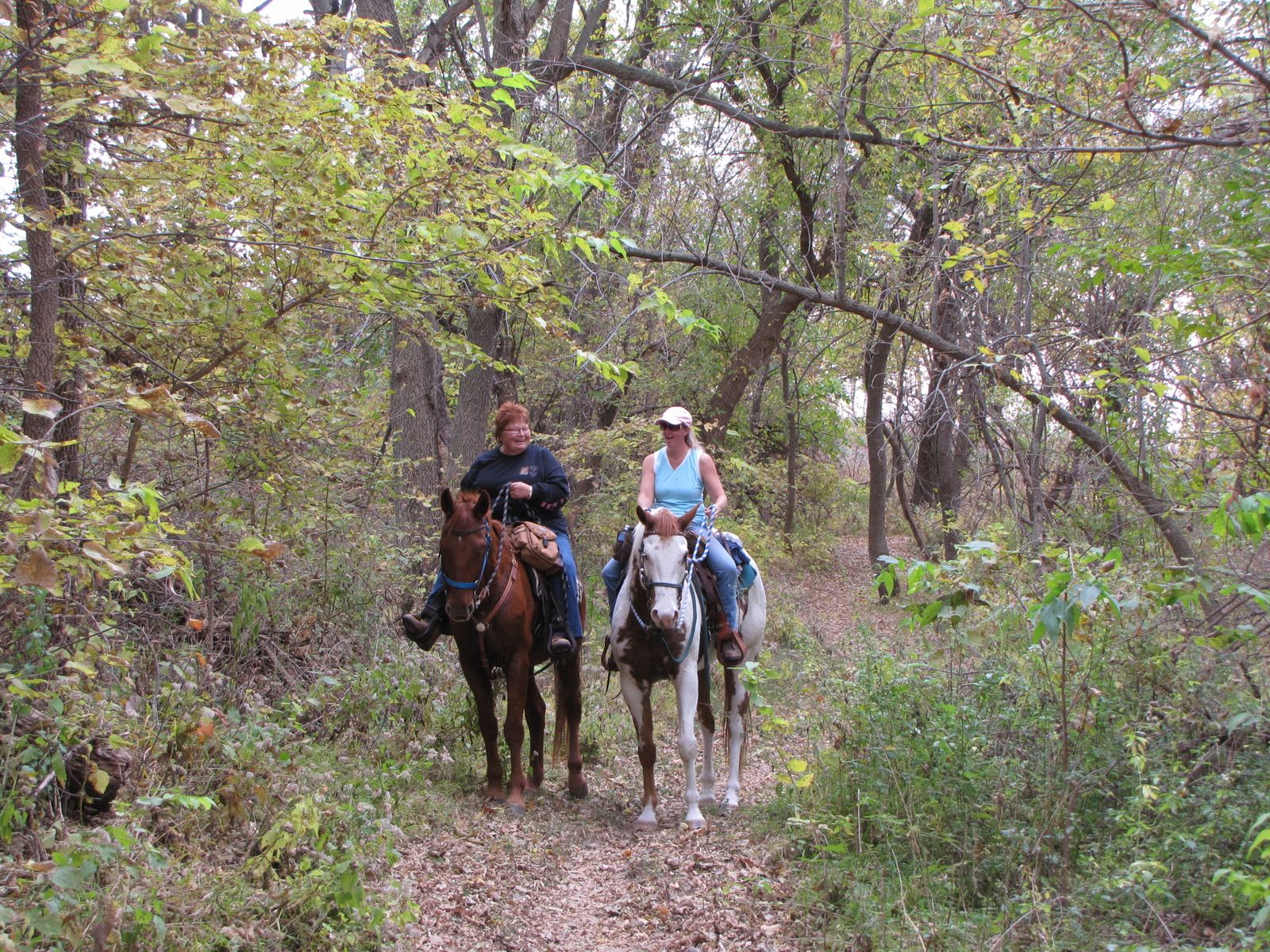 Map of Trails Trails The Nebraska Horse Trails Committee, Inc.