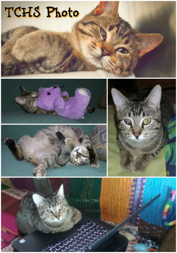 Ricky (update!)