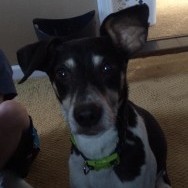 Rylee