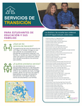 Servicios de Transicion