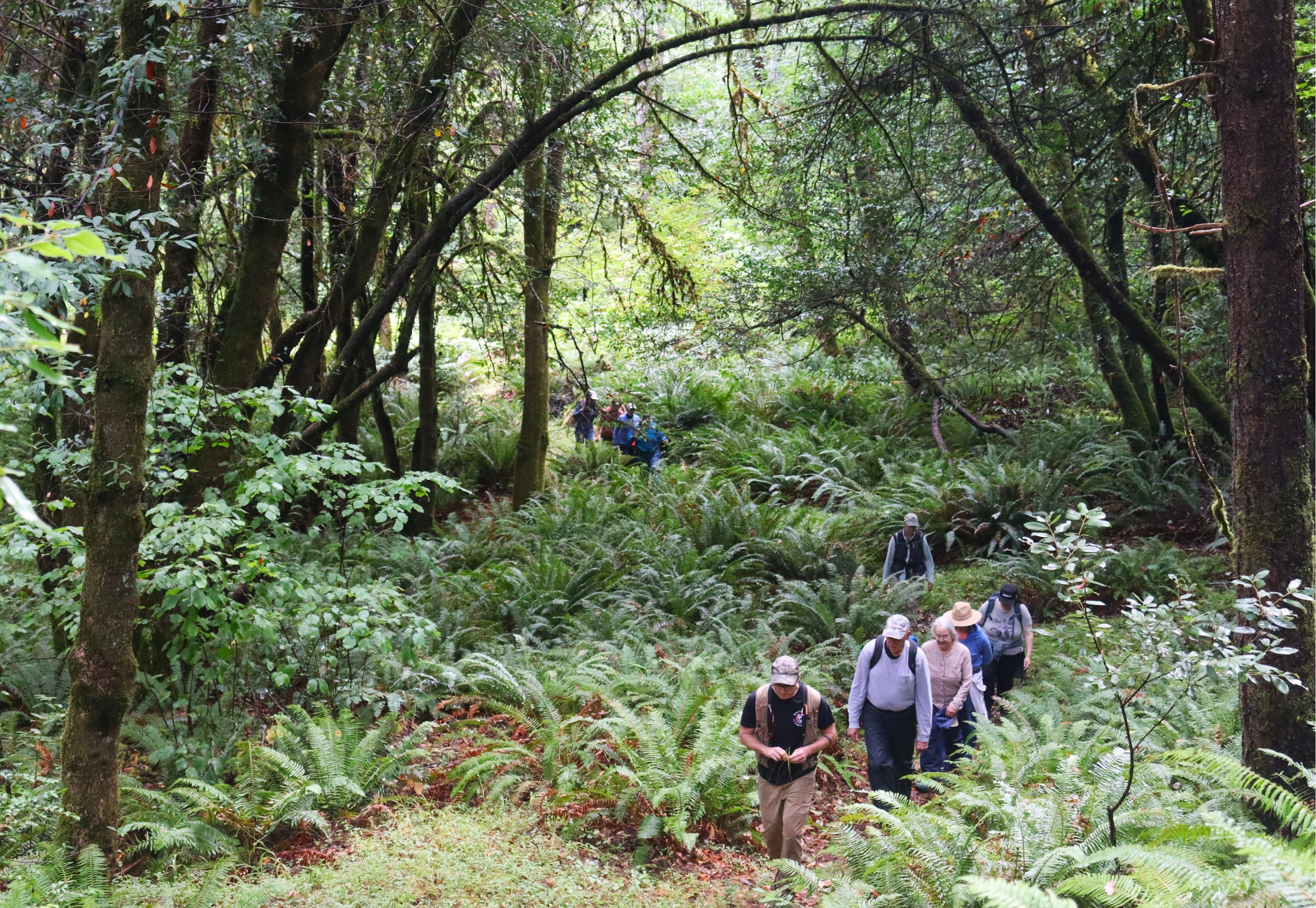 Our Autumn Newsletter is hot off the press!