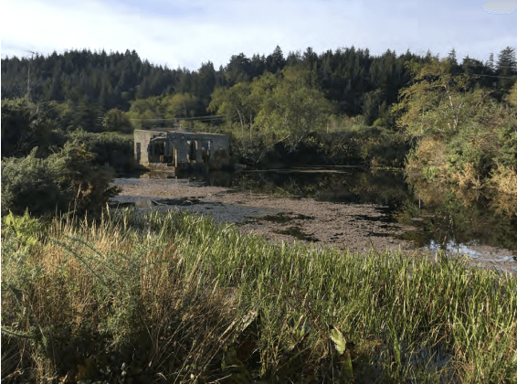 Wild Rivers Land Trust Receives New Land Donation on Bagley Creek