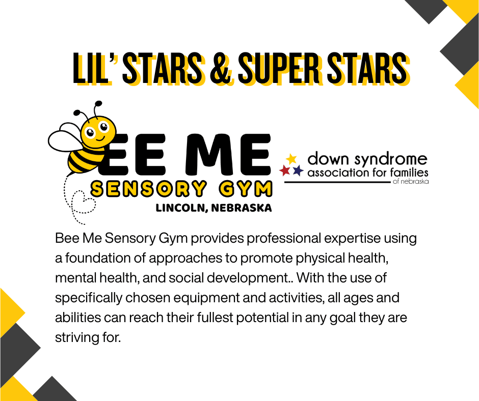 Join DSAF for bi-monthly Social Play at Bee Me Sensory Gym!