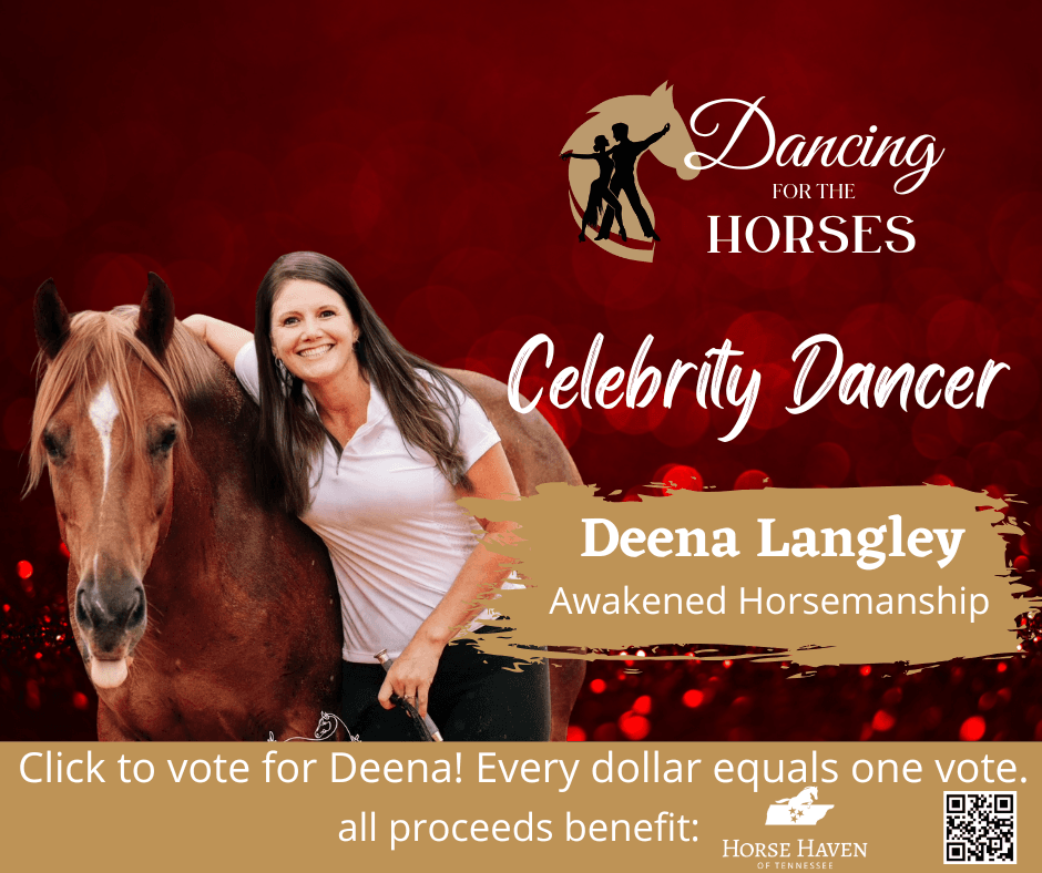 Deena Langley - Awakened Horsemanship