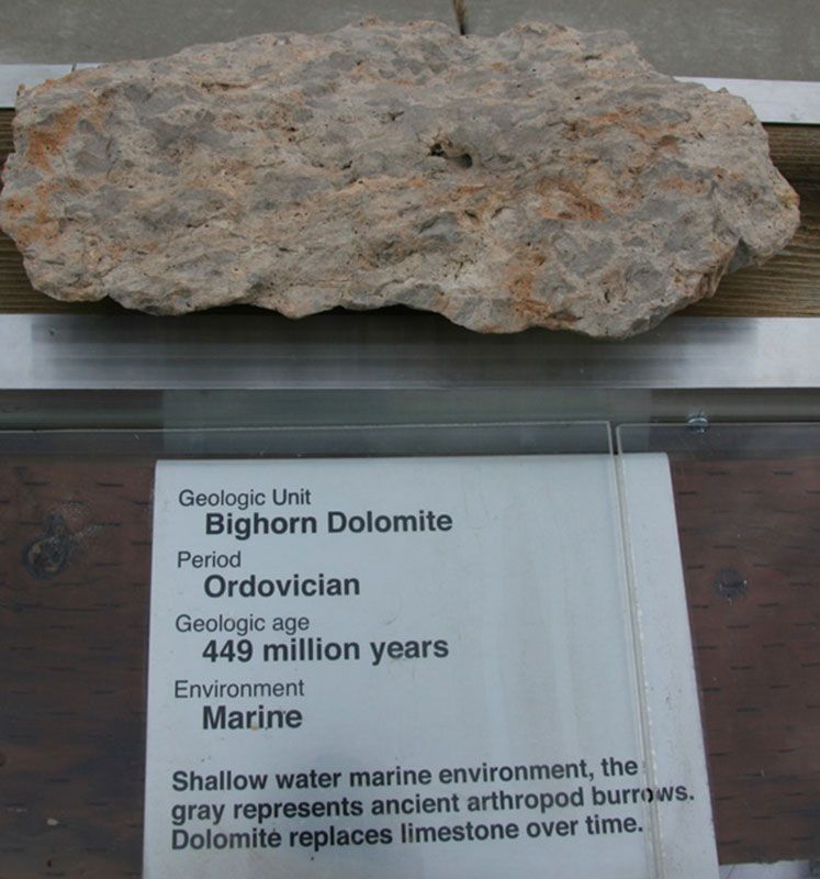 Bighorn Dolomite - Ordovician
