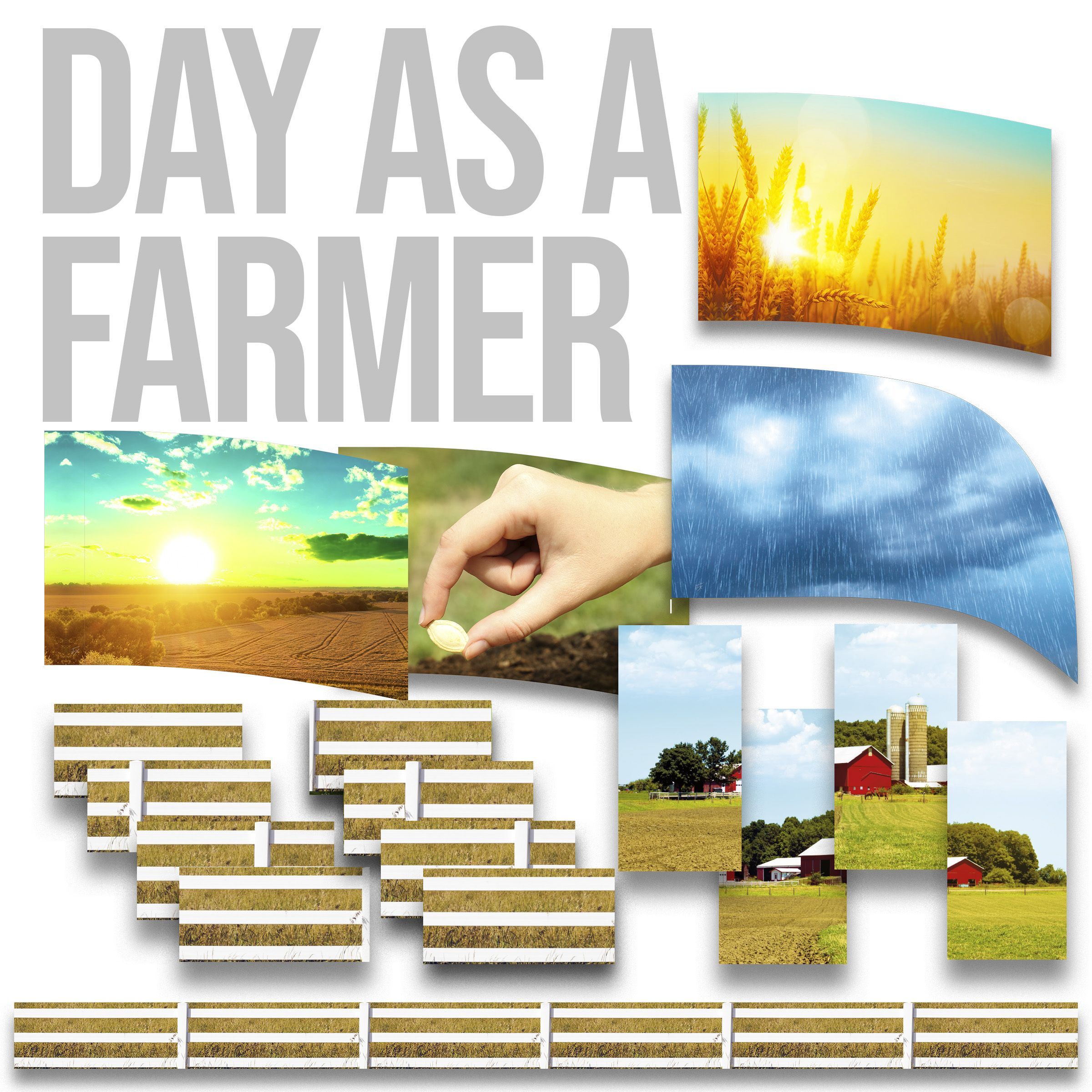 Day as a Farmer