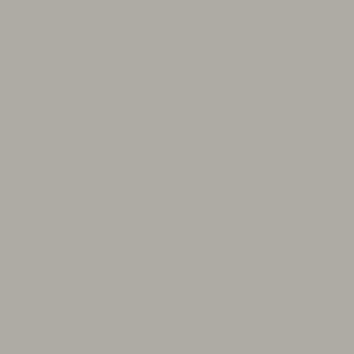 Dove Grey - 1 Gallon - Recycled Paint