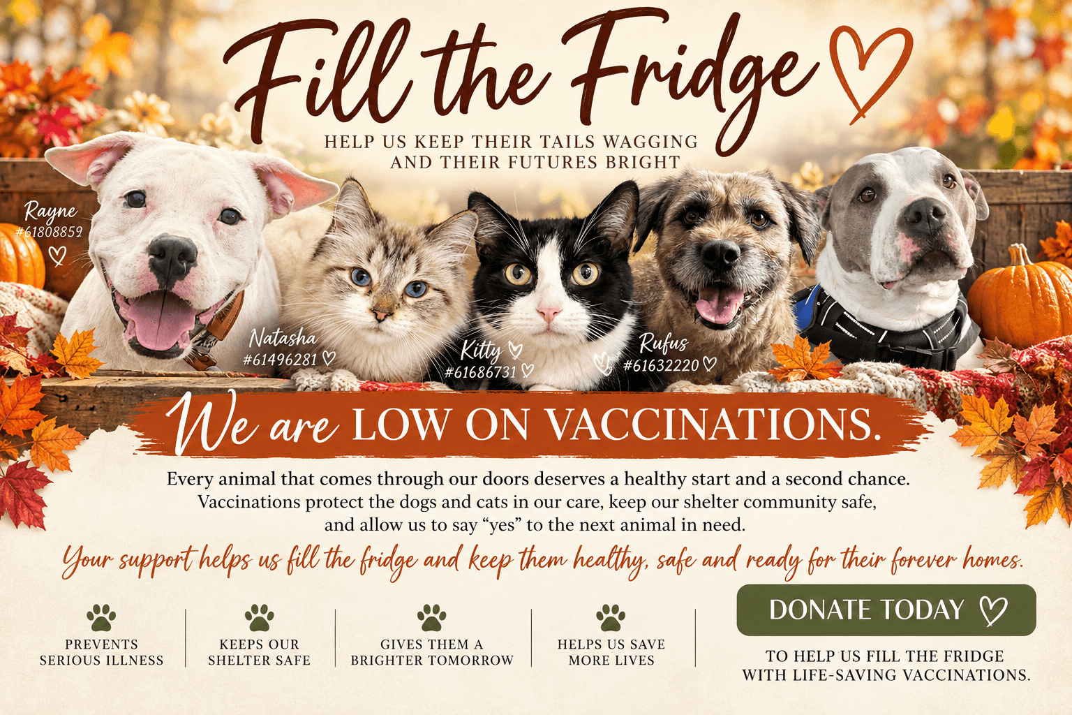 SPCA of Luzerne County shelter dogs and cats featured in our Fill the Fridge vaccination fundraiser.