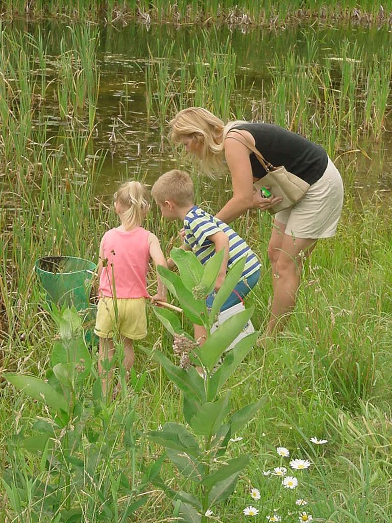 The Pond and Trails