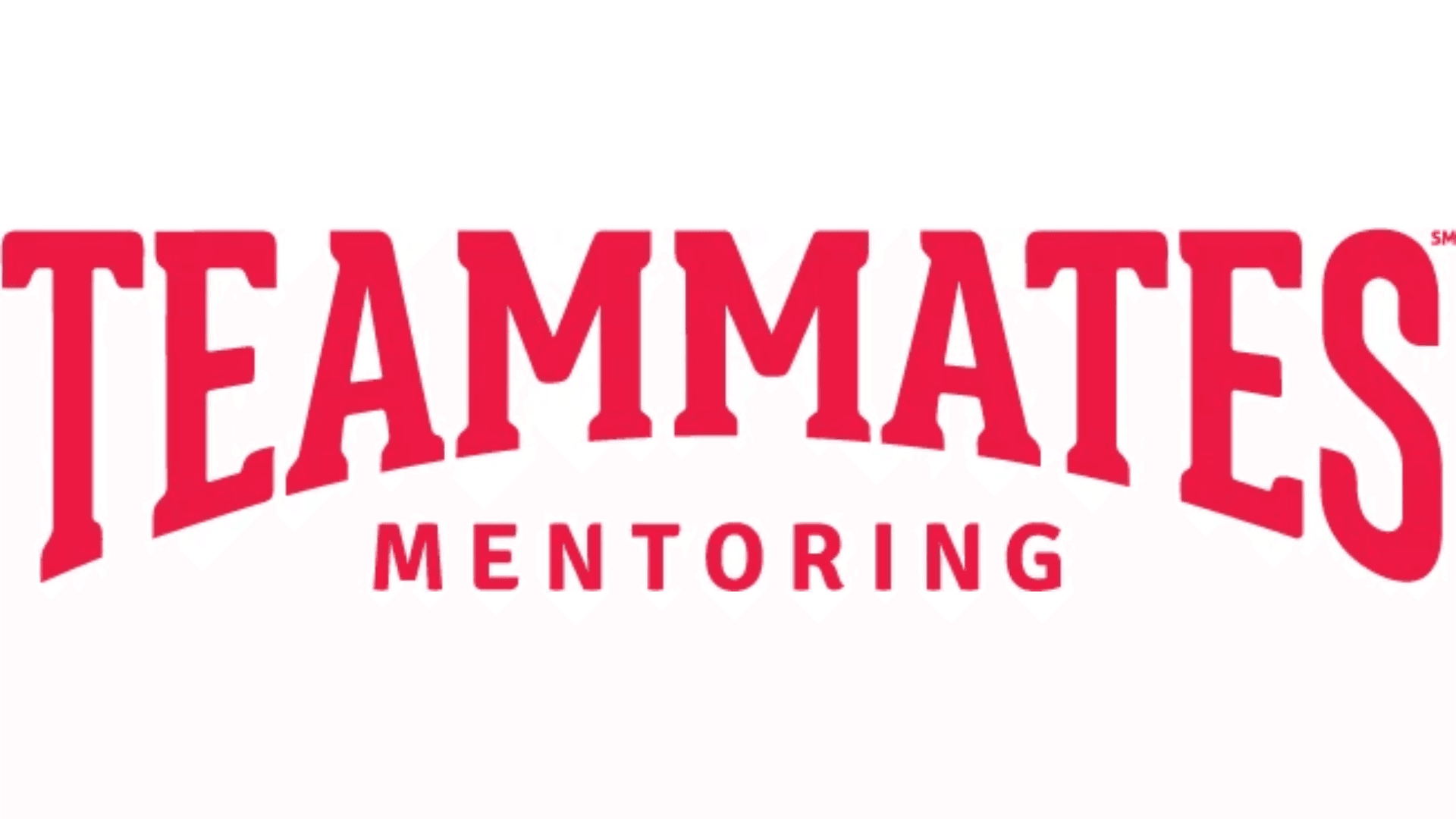 TeamMates Mentoring