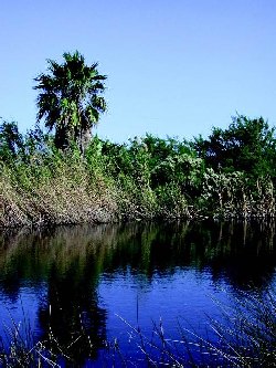 Dos Vacas Muertas scenery