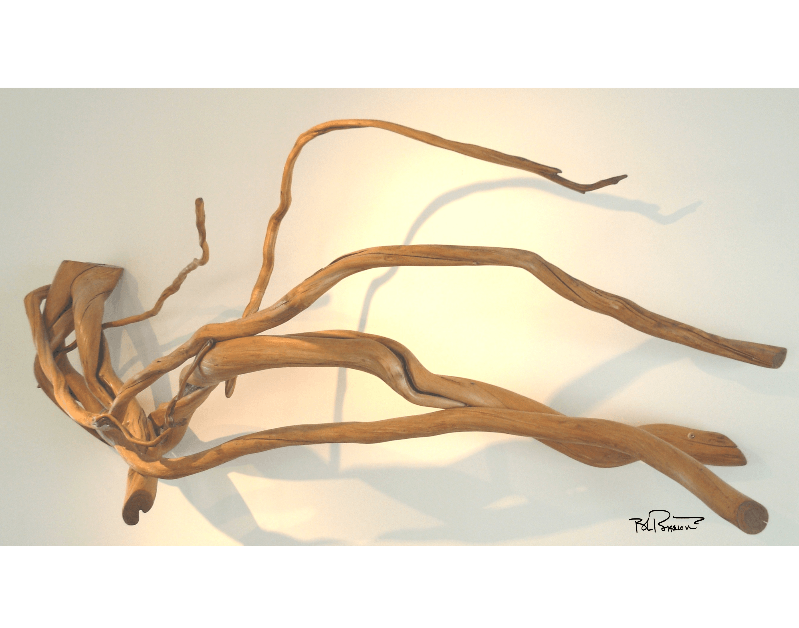 Drift Wood Sculpture