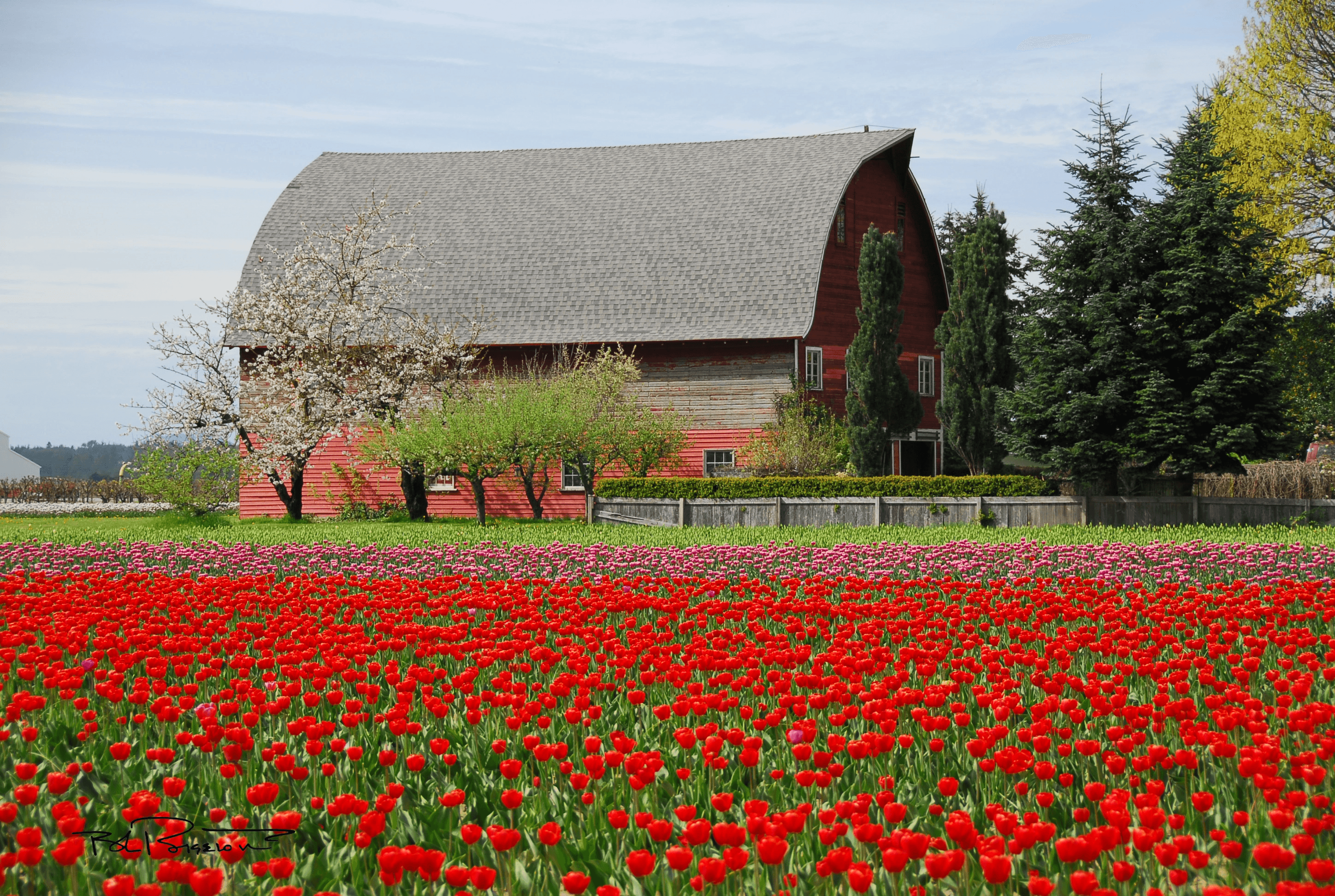 Barn