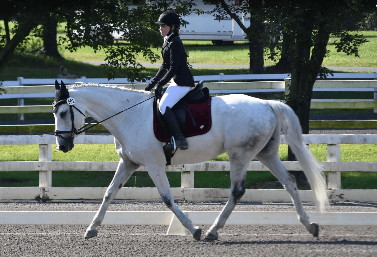 January 2026 Newsletter