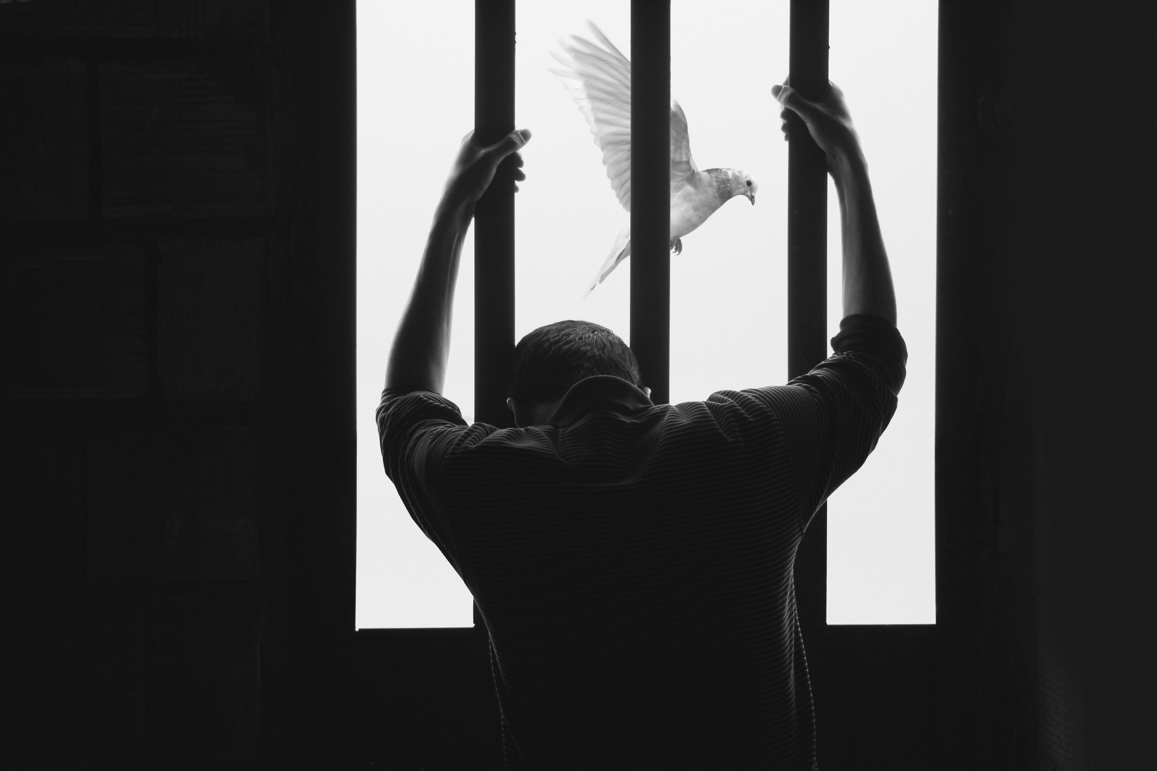 man in prison with dove outside of bars
